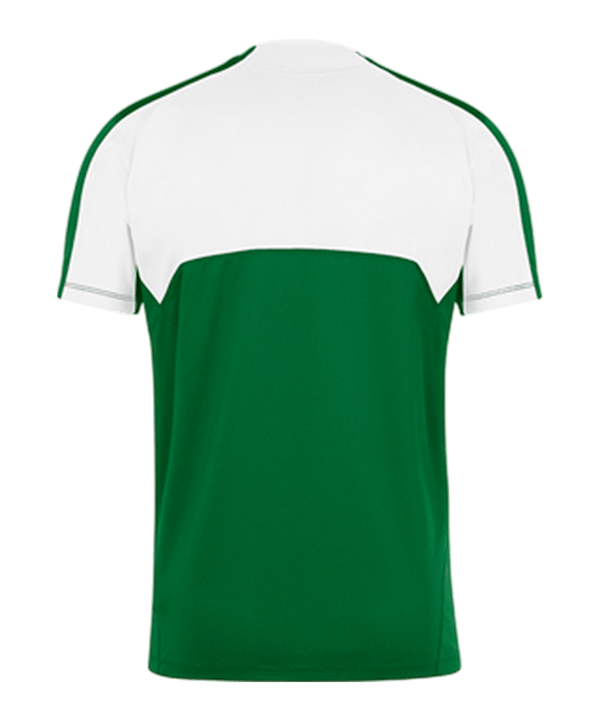 Nike Team Court Trikot Grün F302 - gruen