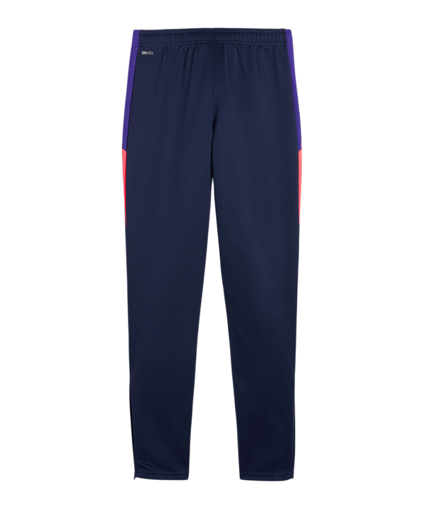 PUMA IndividualLIGA Trainingshose Kids Blau F01 - blau