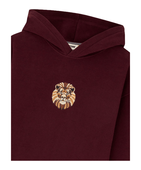 GSSTORE X Reflect Studio Lion Hoody Kids Rot - rot