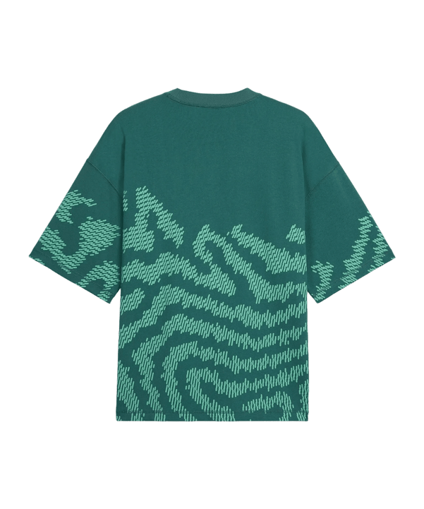 PUMA FPF Portugal Salehe T-Shirt Grün F41