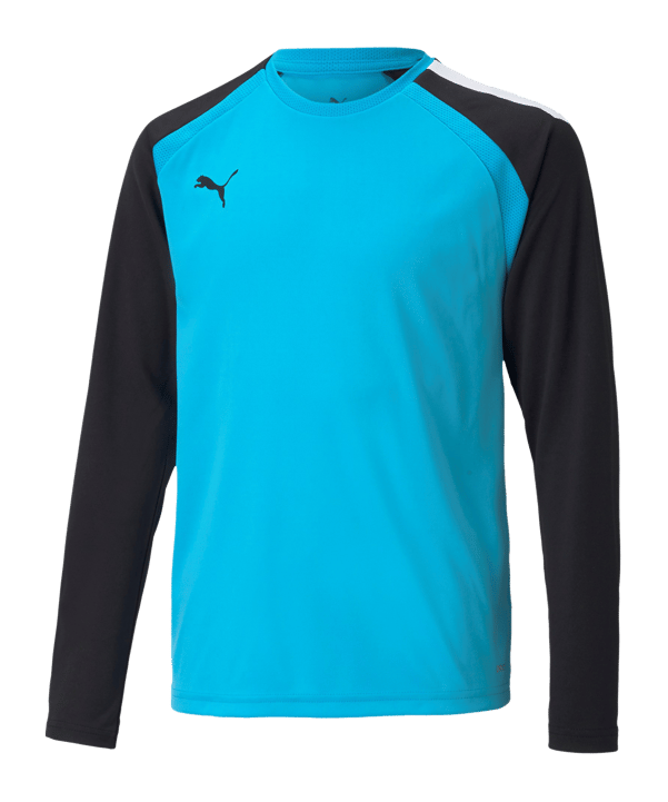 PUMA teamPACER Torwarttrikot langarm Kids F40 - blau