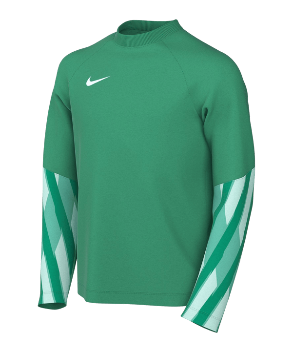Nike Park V Trikot langarm Kids Grün F324 - gruen