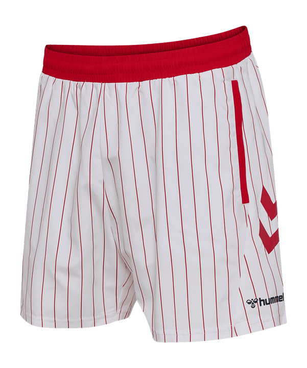 hummel DBU Fan Badehose 2026 Weiß F9001 - weiss
