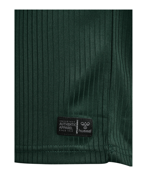 hummel SV Werder Bremen Shirt Away 2026/2027 Kinderen Groen K6842 - groen