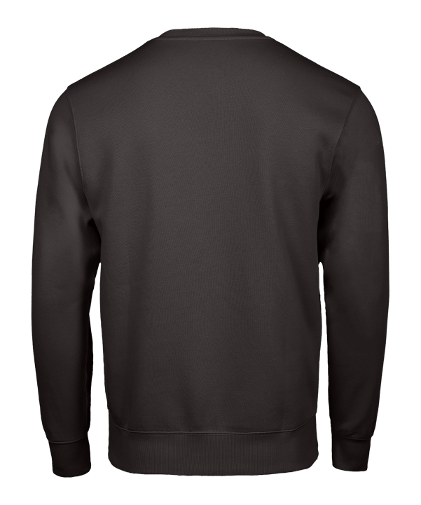 Nike Park 26 Sweatshirt Kids Grau F071 - grau