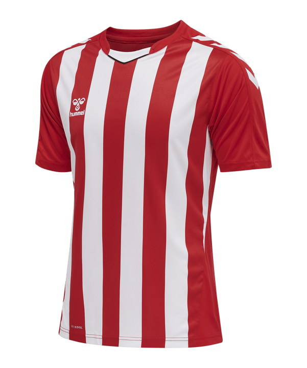 Hummel hmlCORE XK Striped Trikot Rot Weiss F3946 - rot