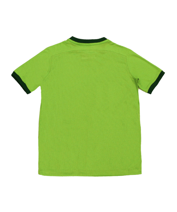 Nike Revolution III Trikot kurzarm Kids Grün F313 - gruen