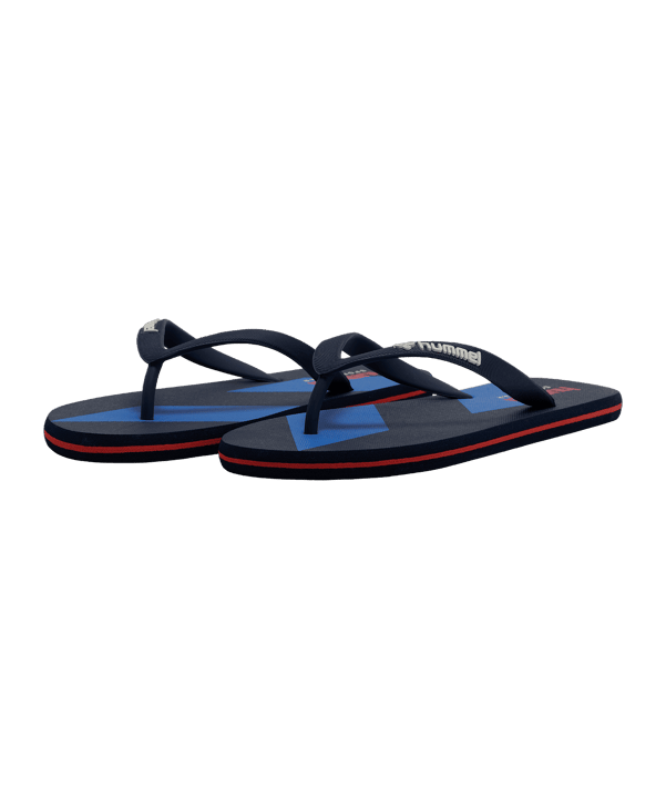 Hummel Chevron Flip Flop Blau F7003 - blau