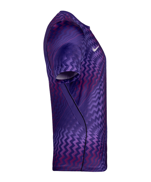 Nike Gardien VI Torwarttrikot Kids Lila F507 - lila