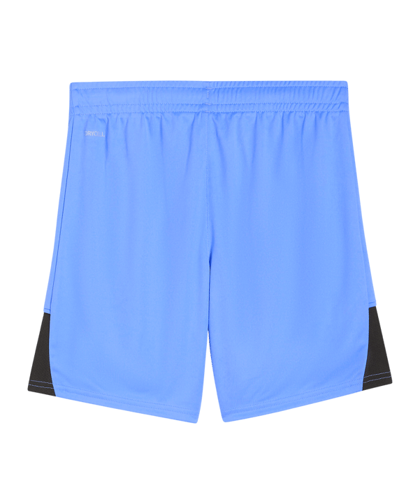 PUMA teamLIGA26 Short Kids Blau F31 - blau