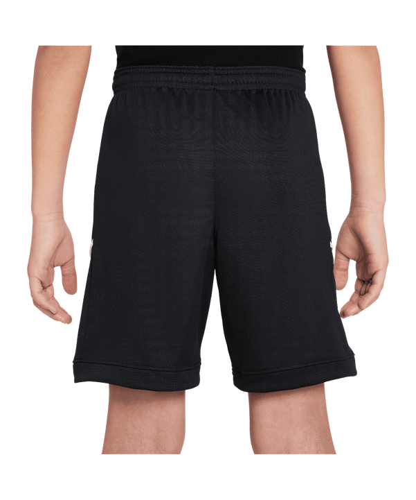 Nike Academy 25 Short Kids Schwarz F010 - schwarz
