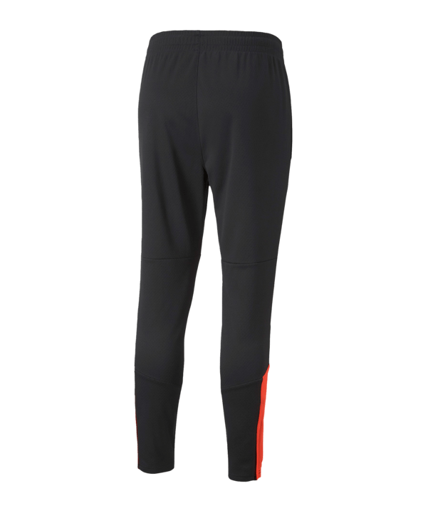 PUMA individualFINAL Fearless Trainingshose F48 - schwarz
