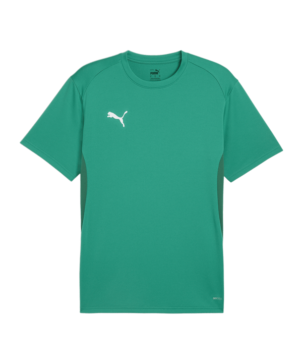 PUMA teamGOAL Trikot Grün F05 - gruen
