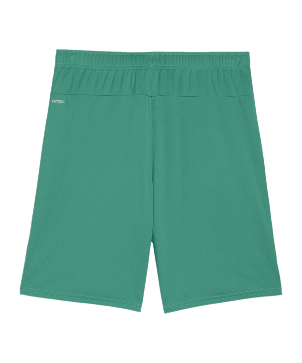 PUMA teamGOAL Short Grün Weiss F05 - gruen