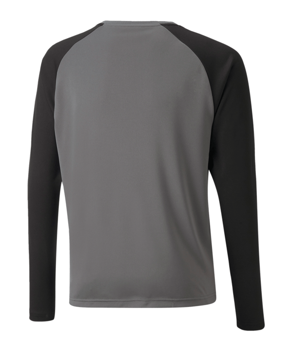 PUMA teamPACER Torwarttrikot langarm Kids F43 - grau