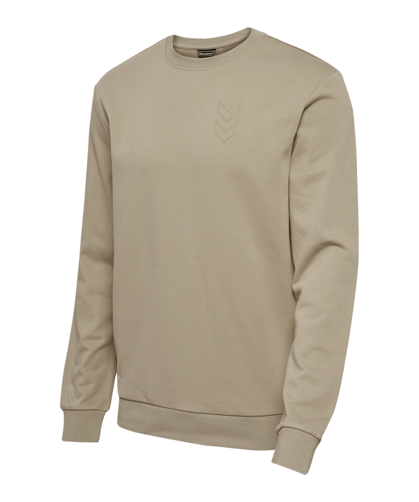 Hummel Active Sweatshirt Braun F8104 - braun