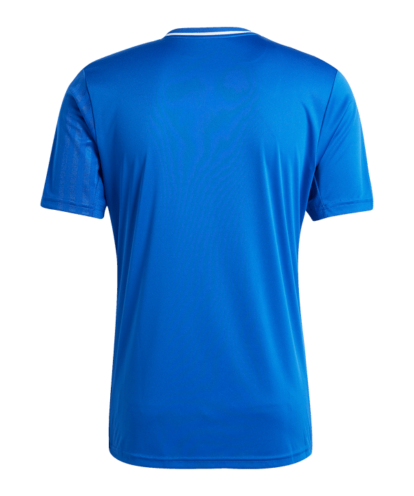 adidas Squadra 25 Trikot Blau - blau