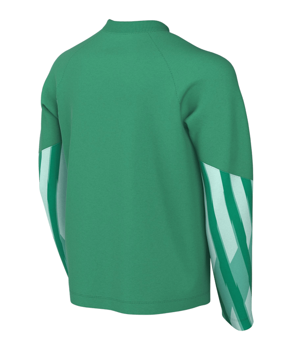 Nike Park V Trikot langarm Kids Grün F324 - gruen