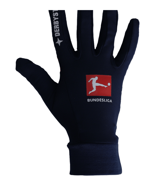 Derbystar Spielerhandschuhe v21 Blau F21 - blau