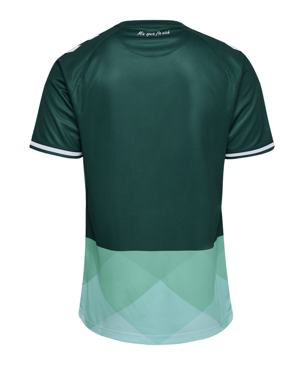 Hummel SSV Jahn Regensburg Trikot 3rd 2024/2025 Grün F5069 - gruen