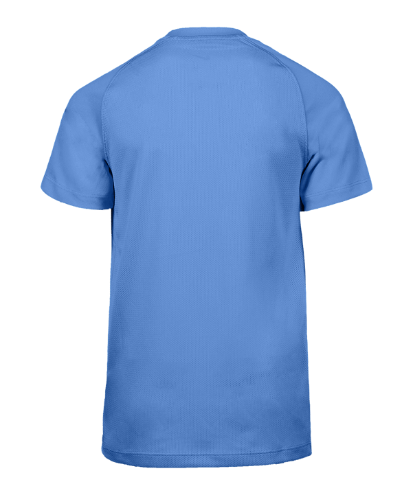 Nike Park VIII Trikot Kids Blau F412 - blau