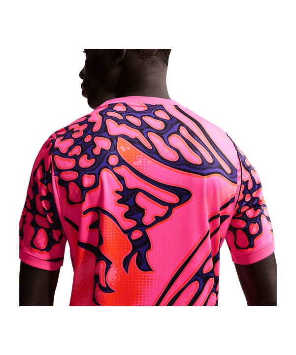 Nike NFF Nigeria Torwarttrikot WM 2026 Rosa F645 - rosa