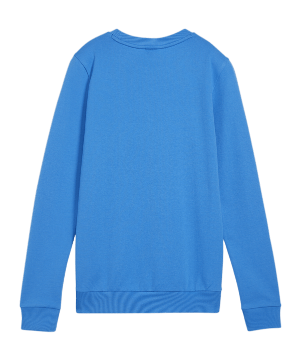 PUMA teamGOAL Casuals Sweatshirt Damen Blau F02 - dunkelblau