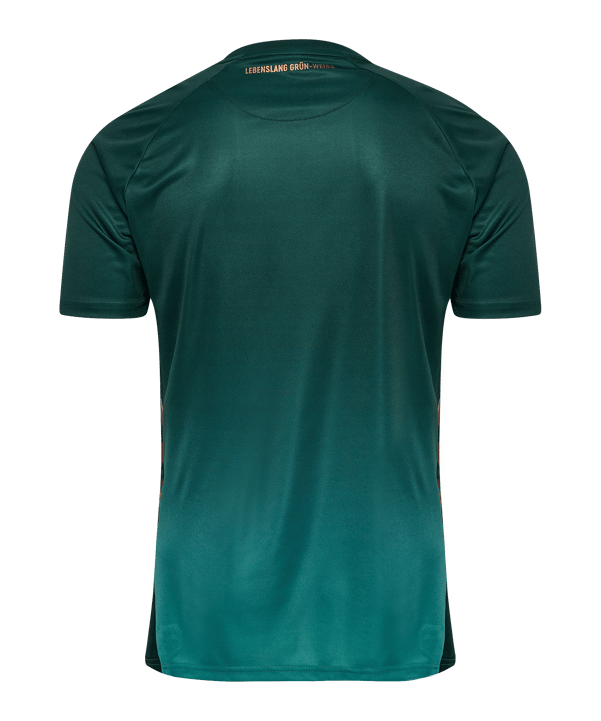 Hummel SV Werder Bremen Trikot 3rd 2025/2026 Grün F6108 - gruen