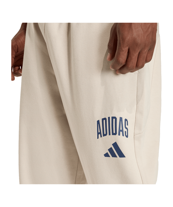 adidas Collegiate Trainingshose Grau - grau