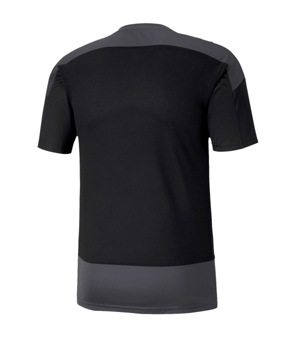 PUMA teamGOAL 23 Training Trikot Schwarz F03 - schwarz
