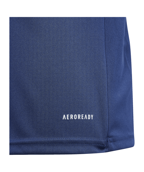 adidas Fortore 23 Trikot Kids Blau Weiss - blau