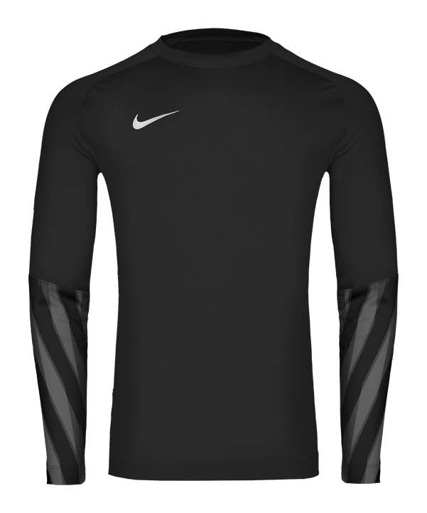 Nike Park V Trikot langarm Schwarz F010 - schwarz