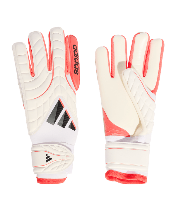 adidas Copa Pro Torwarthandschuhe Weiß - weiss