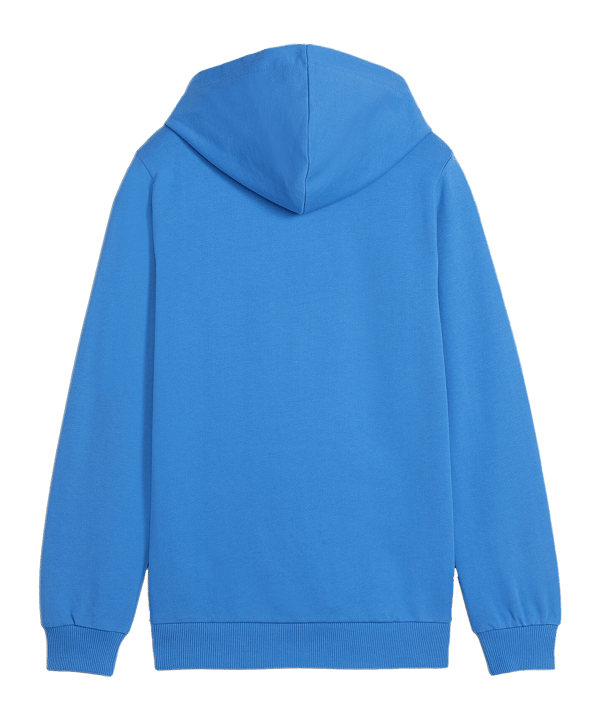 PUMA teamGOAL Casuals Hoody Kids Blau F02 - blau