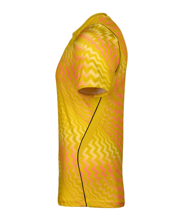 Nike Gardien VI Torwarttrikot Gelb F718 - gelb