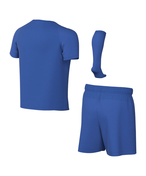 Nike Park VIII Trikot Set Kids Blau F463 - blau