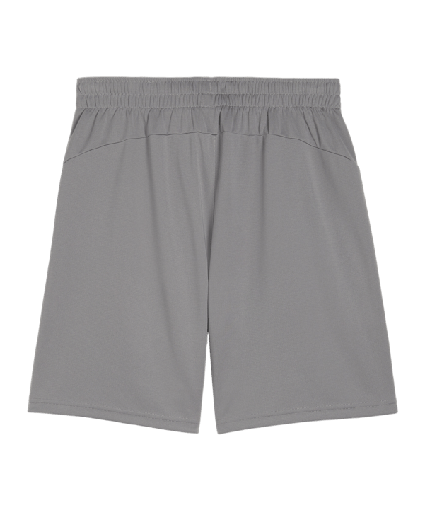 PUMA teamFINAL Trainingsshorts Grau F13 - grau