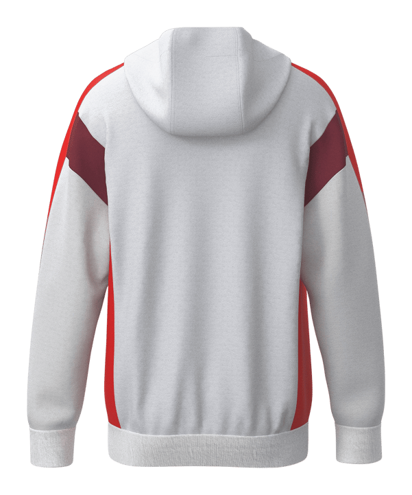 Erima Celebrate 125 Kapuzenjacke Kids Weiss - weiss