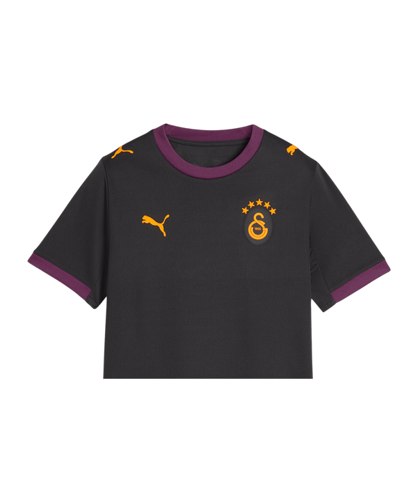 PUMA Galatasaray Istanbul Replica Trikot Away 2026/2027 Kids Grau F05 - grau