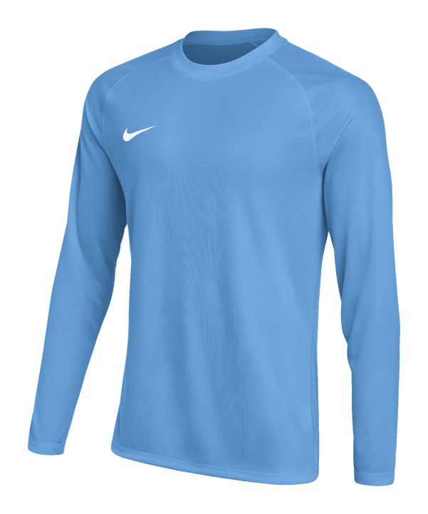 Nike Park VIII Trikot langarm Blau F412 - blau