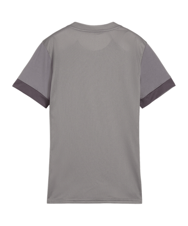 PUMA teamGOAL Matchday Trikot Damen Grau Weiss F13 - grau
