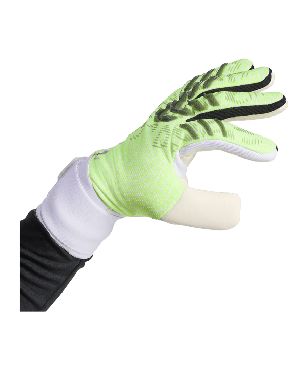 adidas Predator Competition Torwarthandschuhe Radiant Blaze Grün - gruen