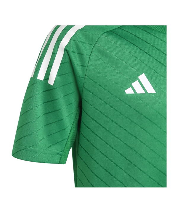 adidas Campeon 23 Trikot Kids Grün - gruen