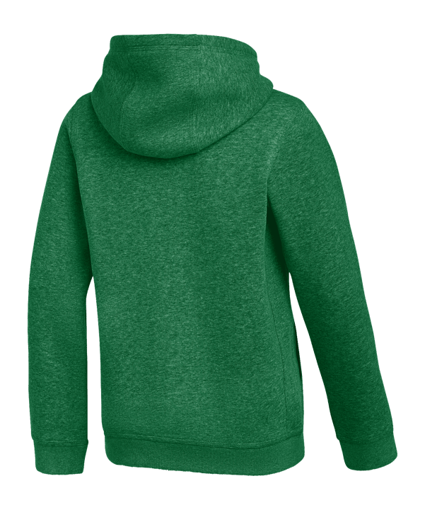 Nike Park 26 Sweatshirt à capuche Enfants Vert C302 - vert