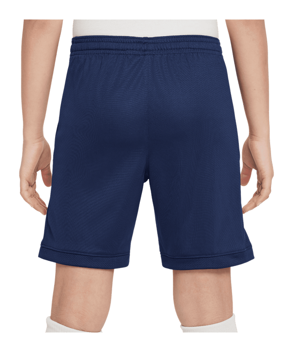 Nike Academy 25 Short Kids Blau F410 - blau