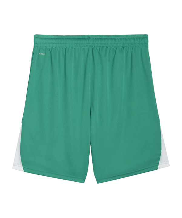 PUMA teamLIGA26 Short Grün F05 - gruen