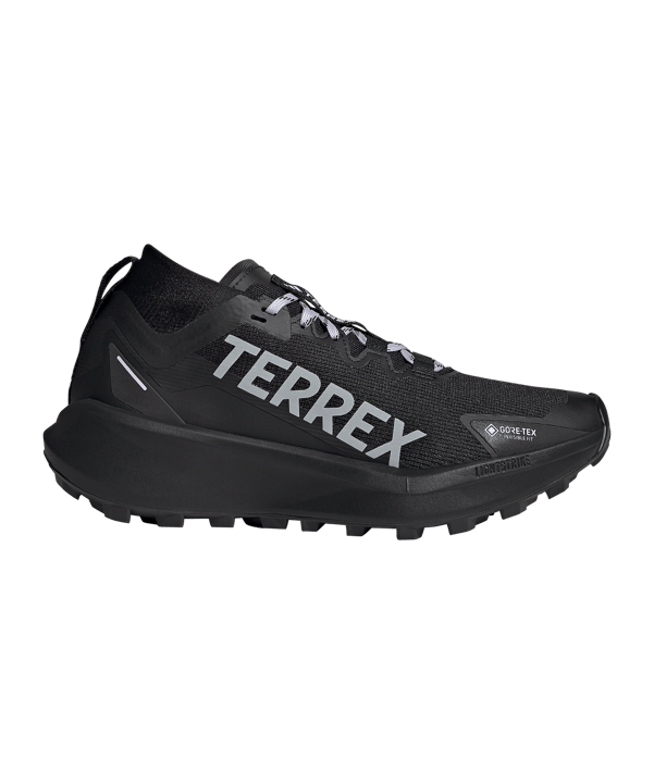 adidas Terrex Agravic GTX Schuh Damen Schwarz - schwarz