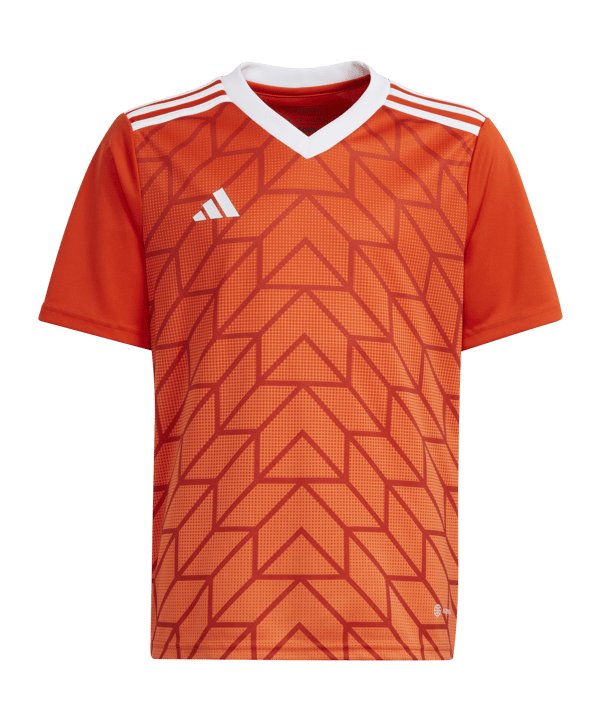 adidas Team Icon 23 Trikot Kids Orange - orange