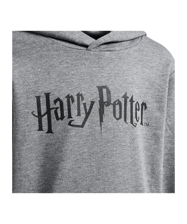 Hummel Harry Potter Hoody Kids Grau F2800 - grau