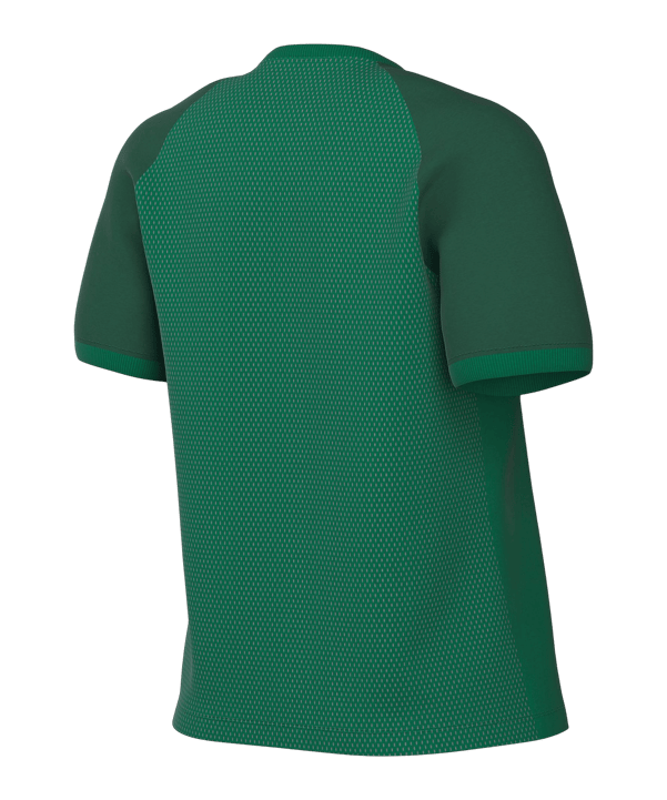 Nike Trophy VI Trikot Damen Grün F302 - gruen